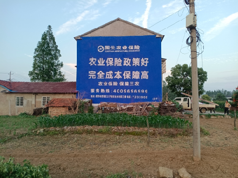 安仁墙体广告为何受追捧？